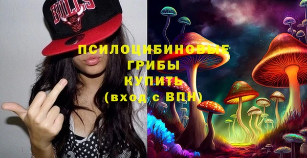 таблы Белокуриха